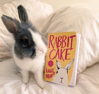 RabbitCake_Kaplan