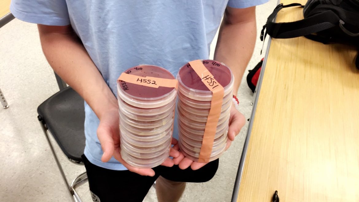 PARE-ing up with UGA