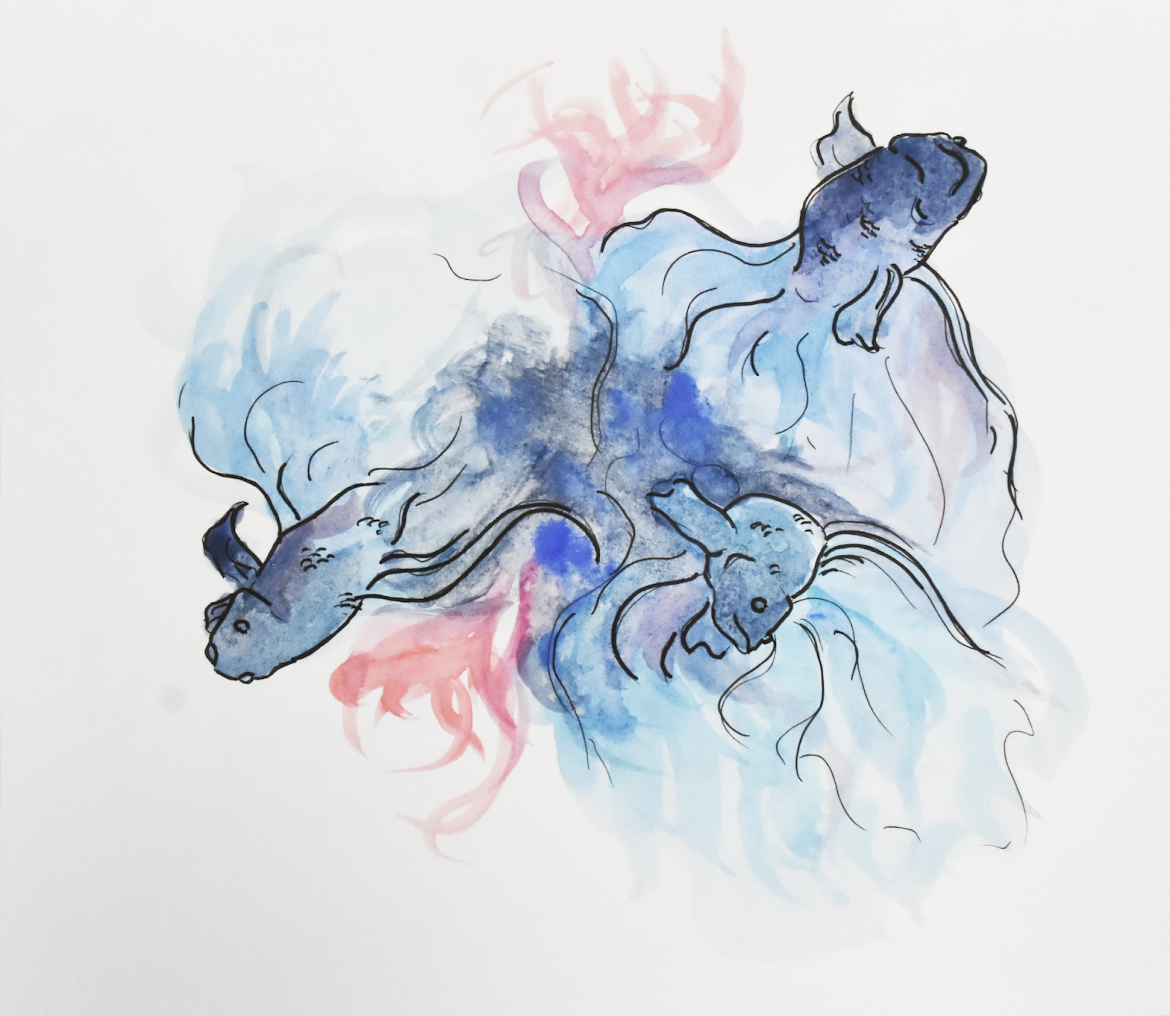 Fish are friends, not food