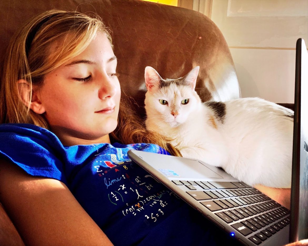 School to home and back again