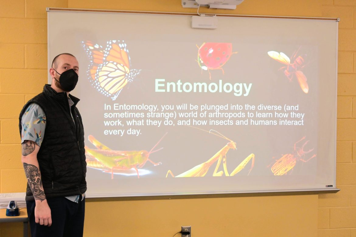 Entomology buzz