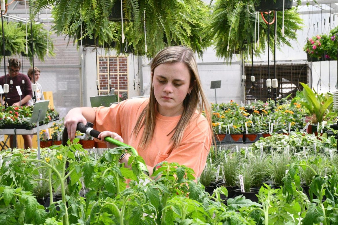 FFA Spring Plant Sale