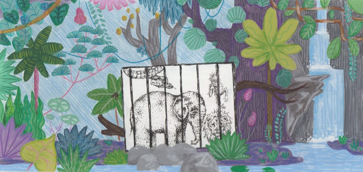 Isa’s Ideals: Animal captivity