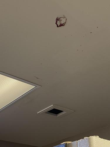 Unidentified red stain on a bathroom ceiling 